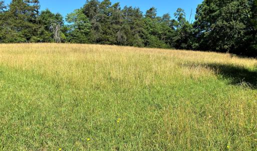 Hay Field
