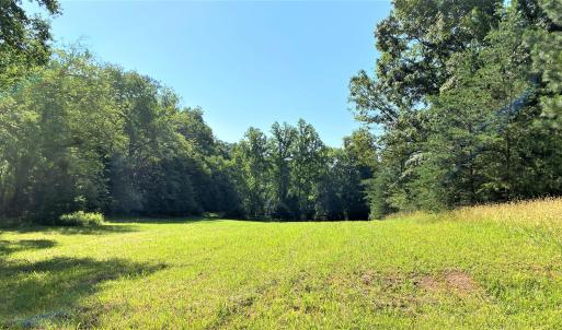 Hay Field
