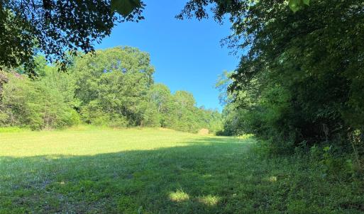 Hay Field
