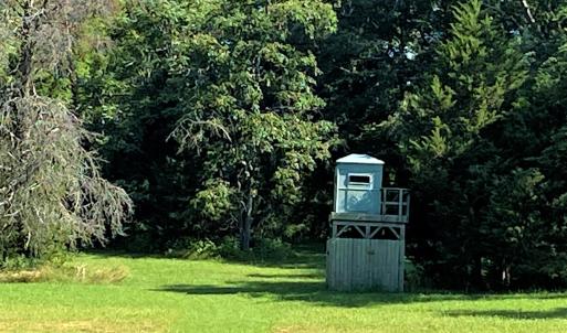 Deer Stand & Food Plot
