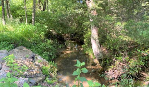 Year Round Stream