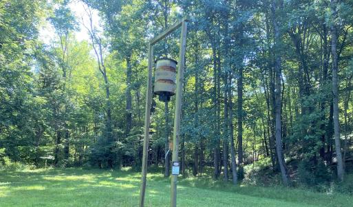 Food Plot w/Bait Station