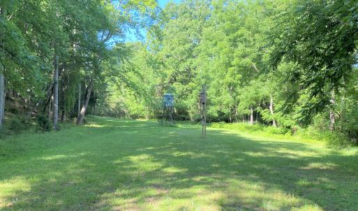 Food Plot