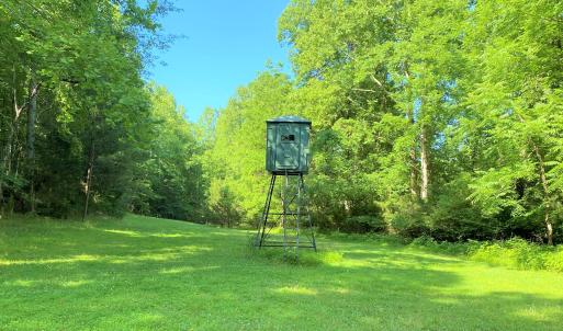 Deer Stand & Food Plot
