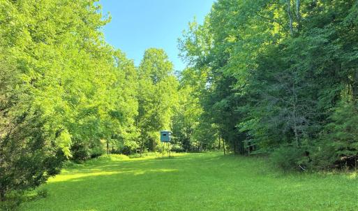 Food Plot
