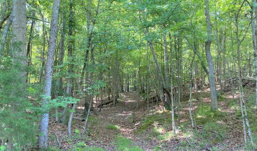 Trails