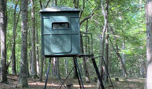 Redhead Deer Stand