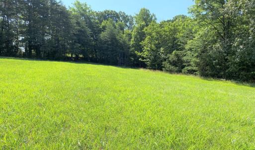 Food Plot