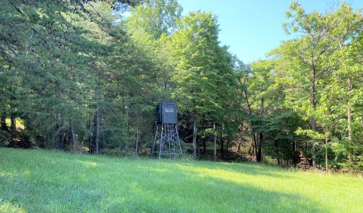 Deer Stand