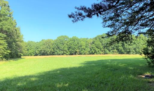 Food Plot