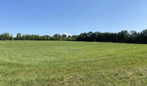 Front Hay Field