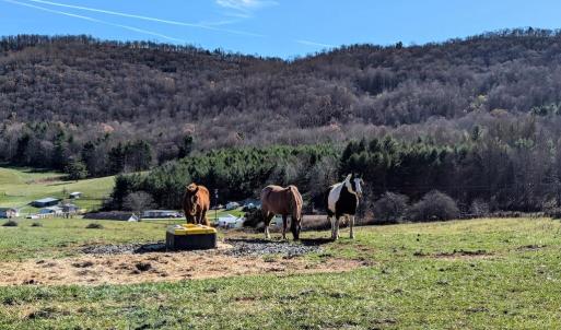 PXL_20241113_173649575~2