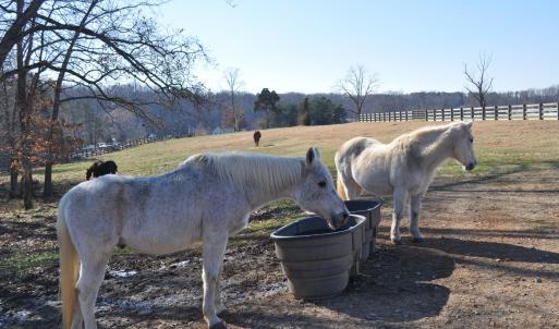 Horse Barn Edge 001 (1)