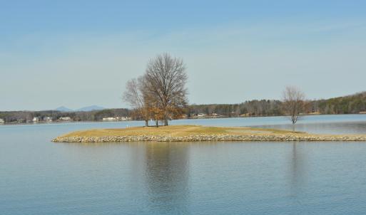 Island Green.JPG
