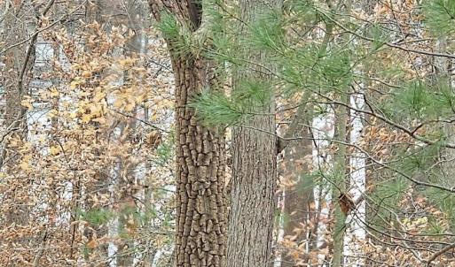 Lot 143 Oak Crest Dr 7