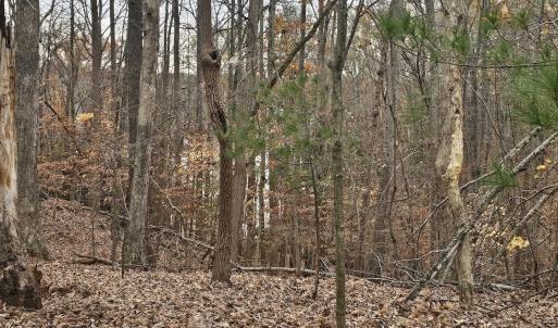 Lot 143 Oak Crest Dr 6