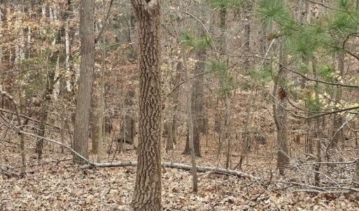 Lot 143 Oak Crest Dr. 5