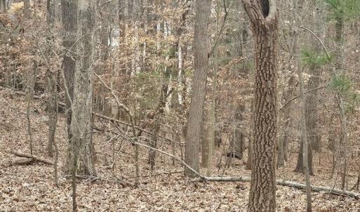 Lot 143 Oak Crest Dr 5