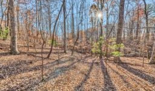 Lot 143 Oak Crest groundp5