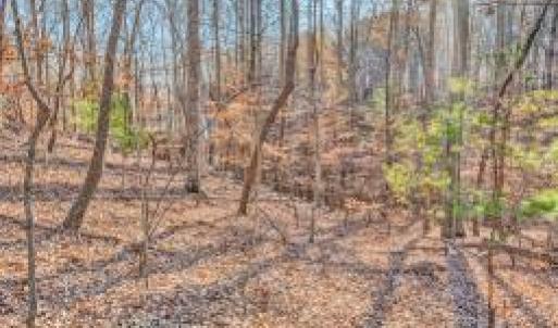 Lot 143 Oak Crest groundp4