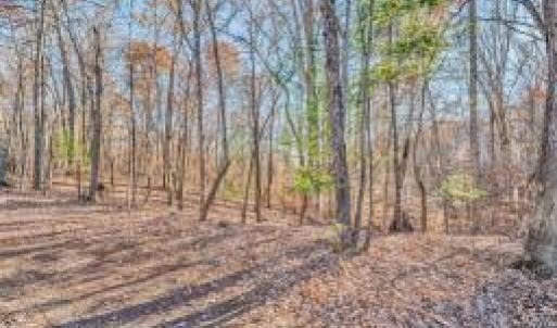 Lot 143 Oak Crest groundp3