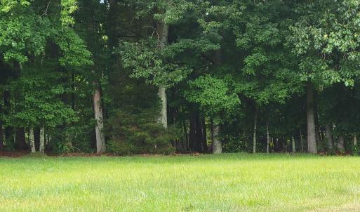 Beautiful Lake Lot