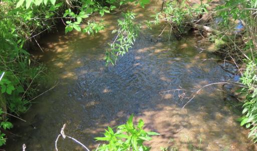 Photo #8 of BEN VENUE RD, FLINT HILL, VA 13.2 acres