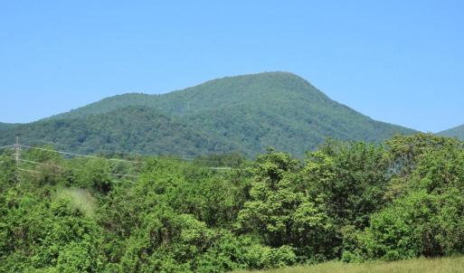 Photo #3 of BEN VENUE RD, FLINT HILL, VA 13.2 acres