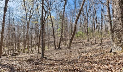 03-0 Mountainside Trail NE_02