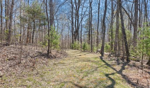 05-0 Mountainside Trail NE_05