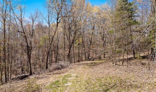 06-0 Mountainside Trail NE_06