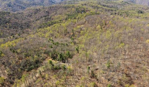 11-0 Mountainside Trail NE_11
