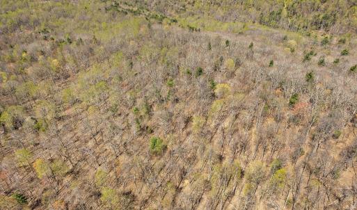 13-0 Mountainside Trail NE_13