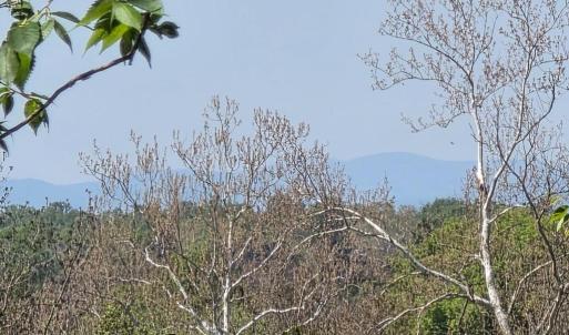 Photo #4 of LEIGH RD, WARRENTON, VA 1.4 acres