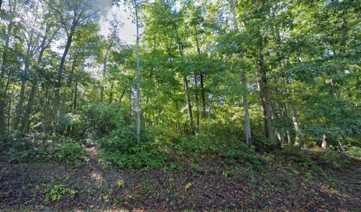 Photo #5 of LAUREL RD, SHIPMAN, VA 3.2 acres