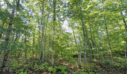 Photo #7 of LAUREL RD, SHIPMAN, VA 3.2 acres