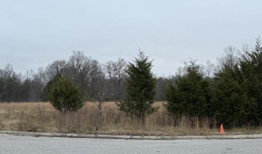 IMG_0022