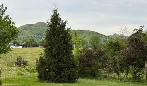 Photo #3 of LEOLA LOOP, STANLEY, VA 1.0 acres