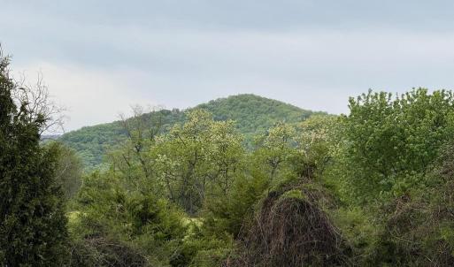 Photo #1 of LEOLA LOOP, STANLEY, VA 1.0 acres