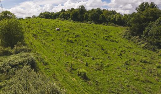 DJI_20240807145239_0369_D