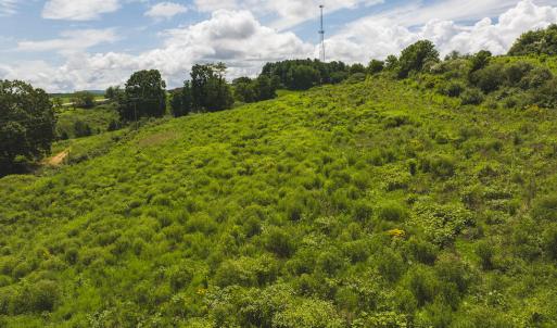 DJI_20240807145305_0371_D