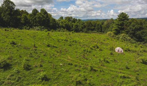 DJI_20240807145315_0372_D