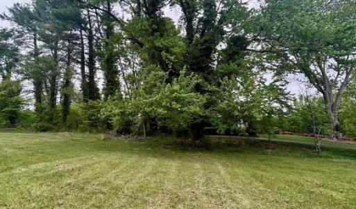 Photo #8 of MAIN ST, ORANGE, VA 0.7 acres
