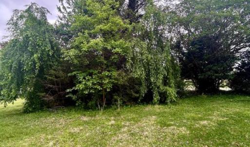 Photo #9 of MAIN ST, ORANGE, VA 0.7 acres