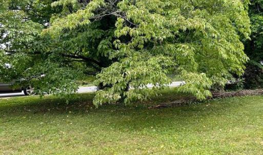 Photo #3 of MAIN ST, ORANGE, VA 0.7 acres