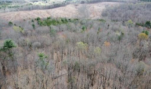 Wooded Acreage