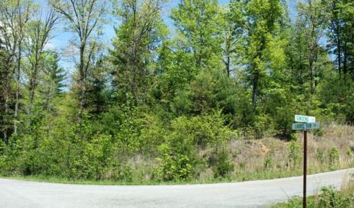 Tract 5 Laurel Run