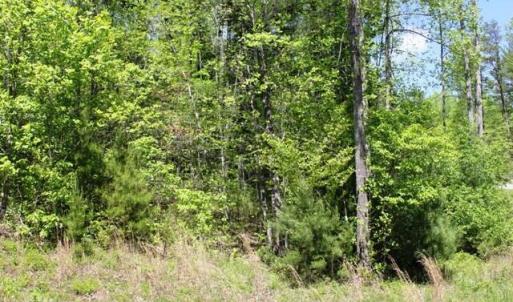 Tract 6 Laurel Run