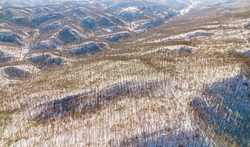 12-web-or-mls-DJI_0830