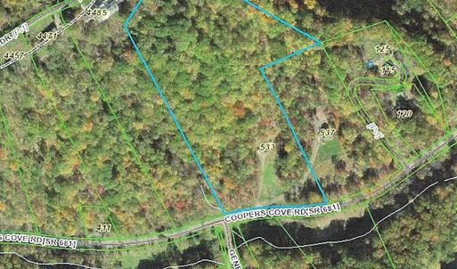 533 Coopers Cove GIS Aerial1